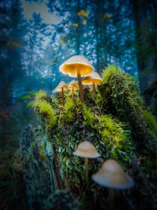 Rendez-vous au sommet. Tableau photo fine Art